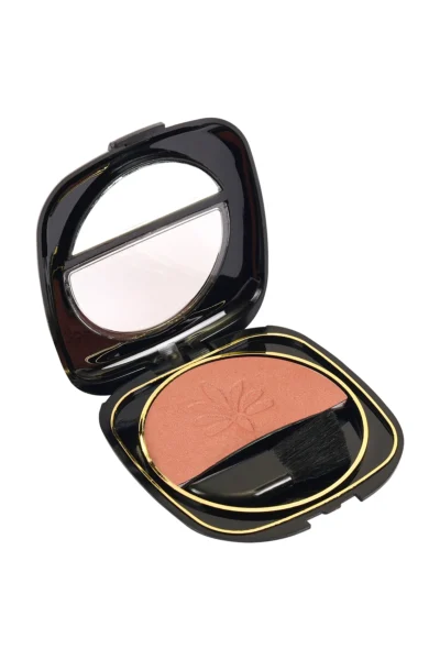 BLUSHER - Image 4